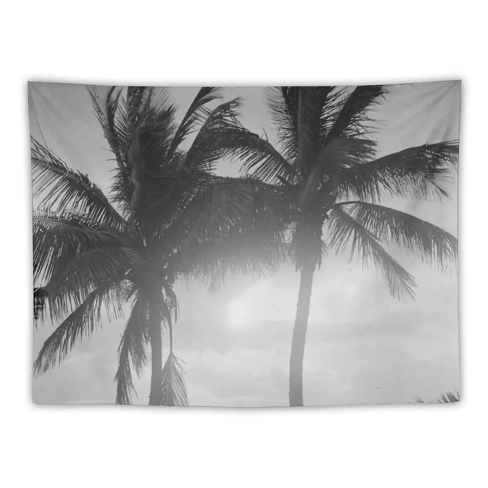 

Black & White Palm Trees in The Sunset Photograph Tapestry Wall Art Carpet On The Wall Tapestry