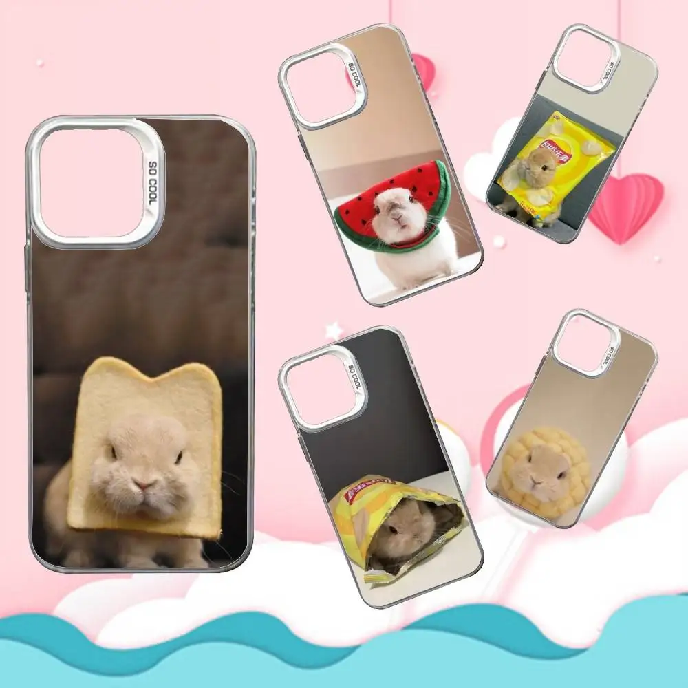 

Cute Bunny rabbit COS Phone Case For iPhone 16,15,14,13,12,11,Mini,Pro,SE,MAX White Matte Shockproof Cover