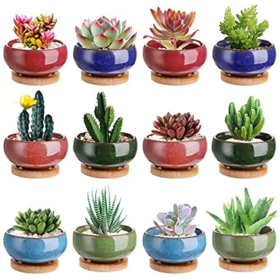 

12 Pack Ice Crack Succulent Pots with Bamboo Saucer Ceramic Mini Cactus Plant Pots Flower Pots Container Planter for Home Garde