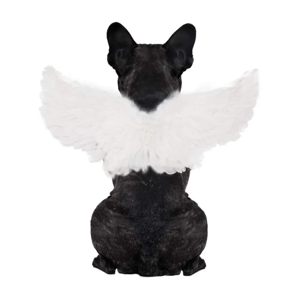 

Transform Your Pet into a Halloween Angel with our New Pet Costume - Pet Angel Wings for Dogs and Cats, Perfect Pet Accessory!