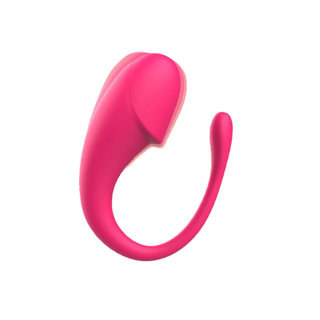 Wireless Bluetooth APP Remote Control Wearable Vibrating Panties G Spot Clitoral Stimulator Multimode Vibration Toy for Women