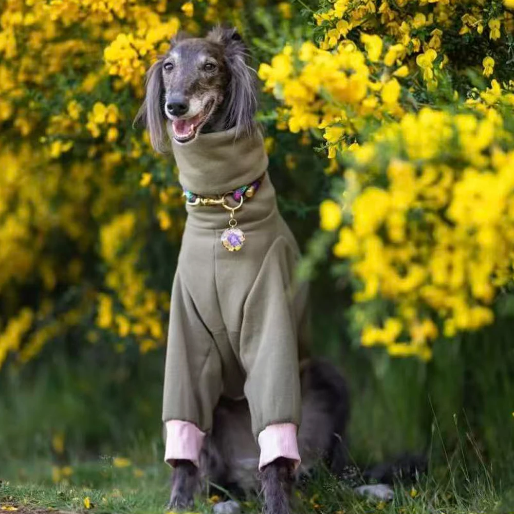 Mono forro polar 2 patas verde invierno para Galgo Italiano y Whippet - imagen 4
