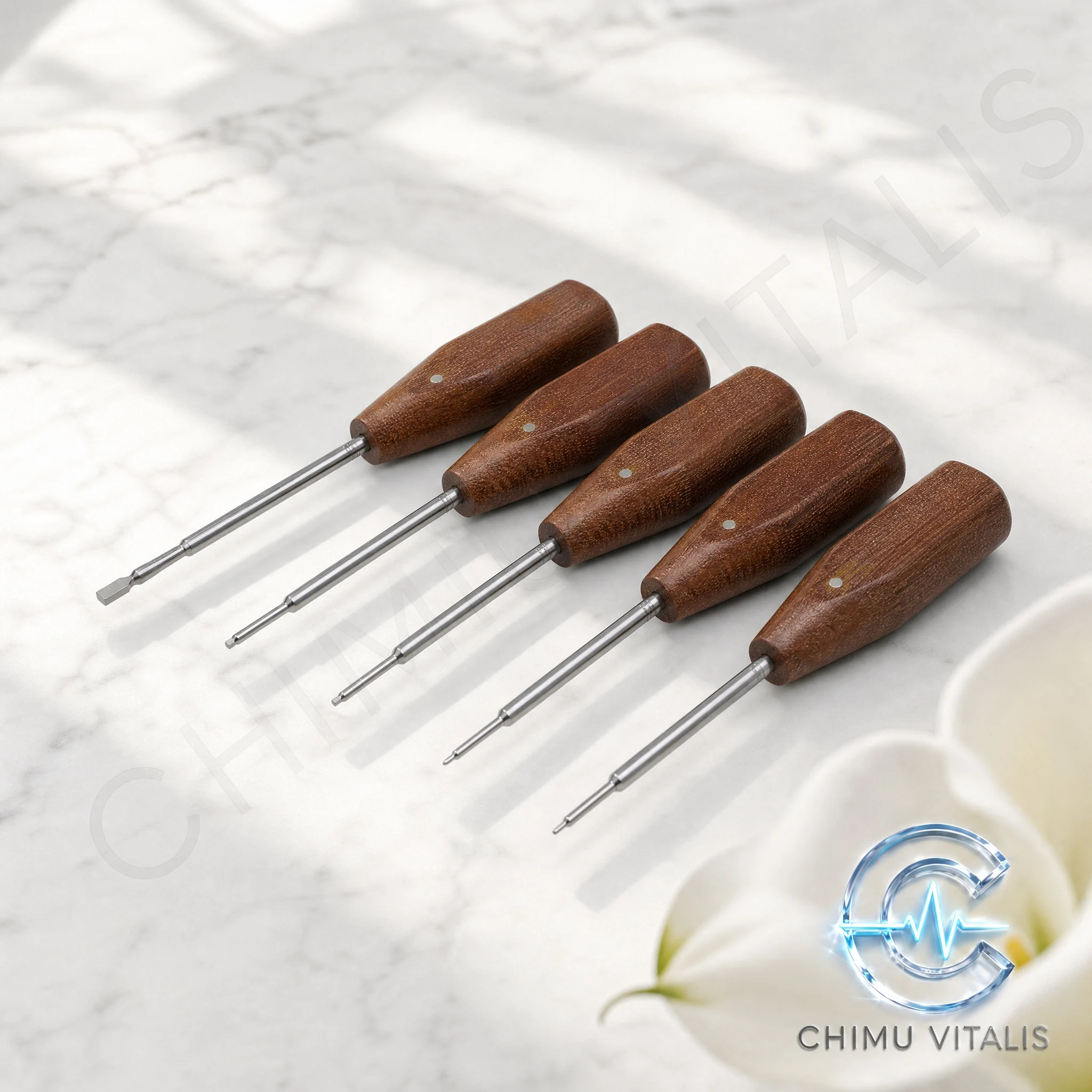 【CHIMU VITALIS】Precision Flat Head Screwdriver Stainless Steel Shank Wooden Handle 1.0mm 1.2mm 1.5mm 2.0mm 2.5mm