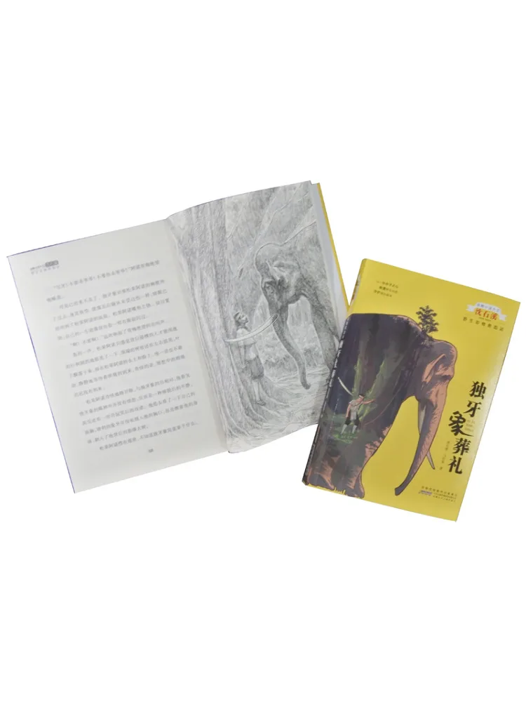 Книга-Winshare Snow Mountain Wolf Soul