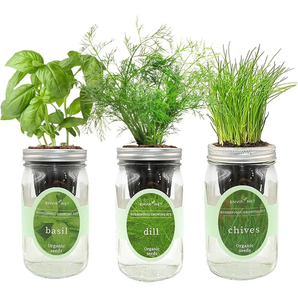 

Indoor Self-Watering Mason Jar Herb Garden Kit with Organic Seeds: Basil, Dill, Chives