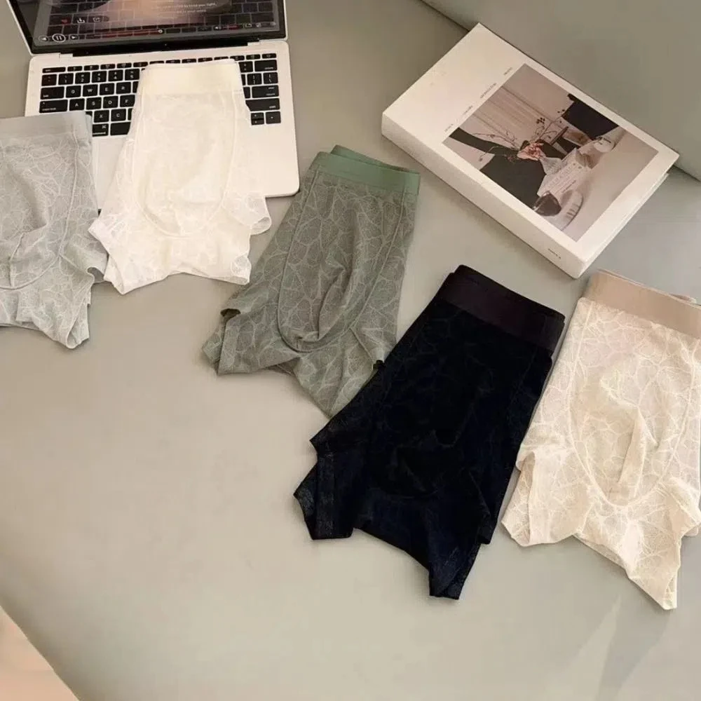 Creative Underpants Men Boxer Briefs Mesh Thin Quick Dry Lace Shorts Boxers Breathable Ice Silk Underwear for Men Daily