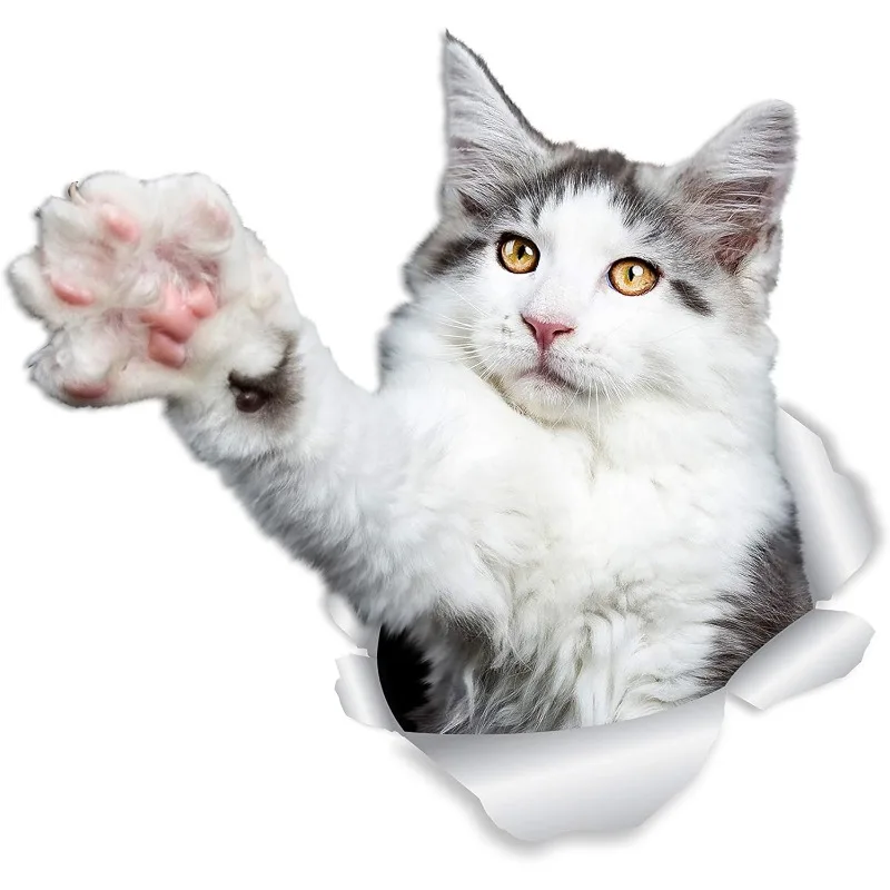 Cute Red Maine  Kitty Cat Wall Decals Orange Maine Coon 3D Cat Car Window and Bumper Sticker  Retail Packaged Maine 15CM PVCKK