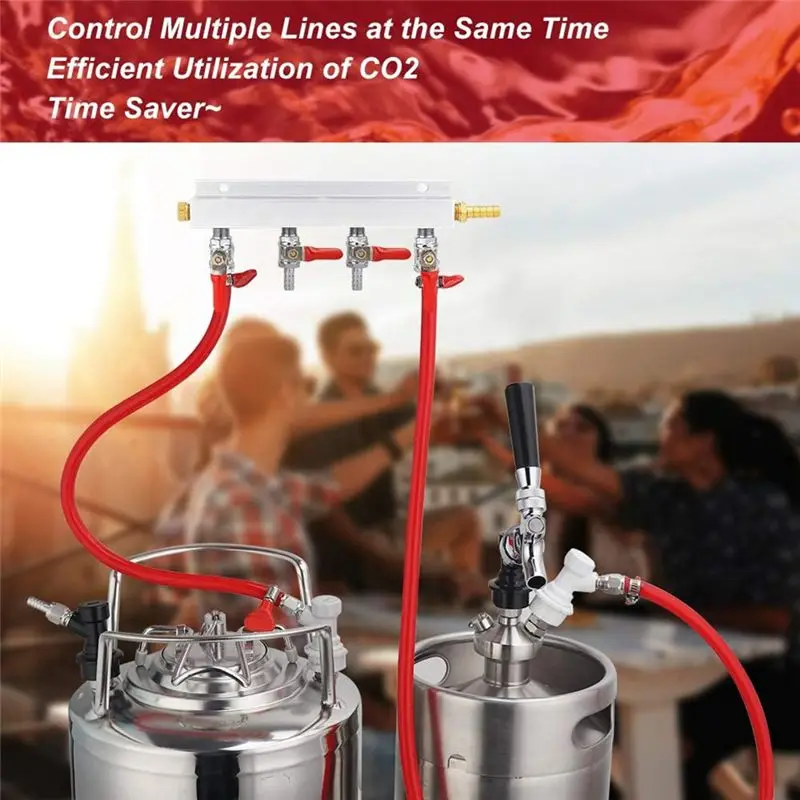 DT17 4-Way Gas Manifold 5/16inch Barbed Integrated Check Valve CO2 Distributor for Home Brewing Beer Keg