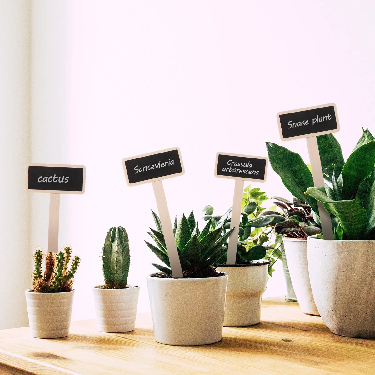 40Pcs Mini Wooden Chalkboards Garden Plant Pot Tags Lightweight Blackboard Signs for Home Shop Decoration