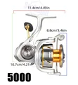 5000