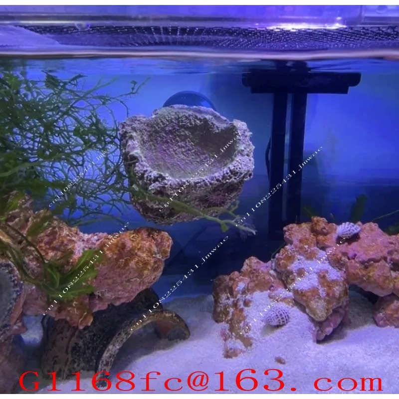 Resin Suspended Anemone Nest Magnetic Pacifier Anemone Nest Carpet Nest Seawater Fish Tank Landscaping Stone
