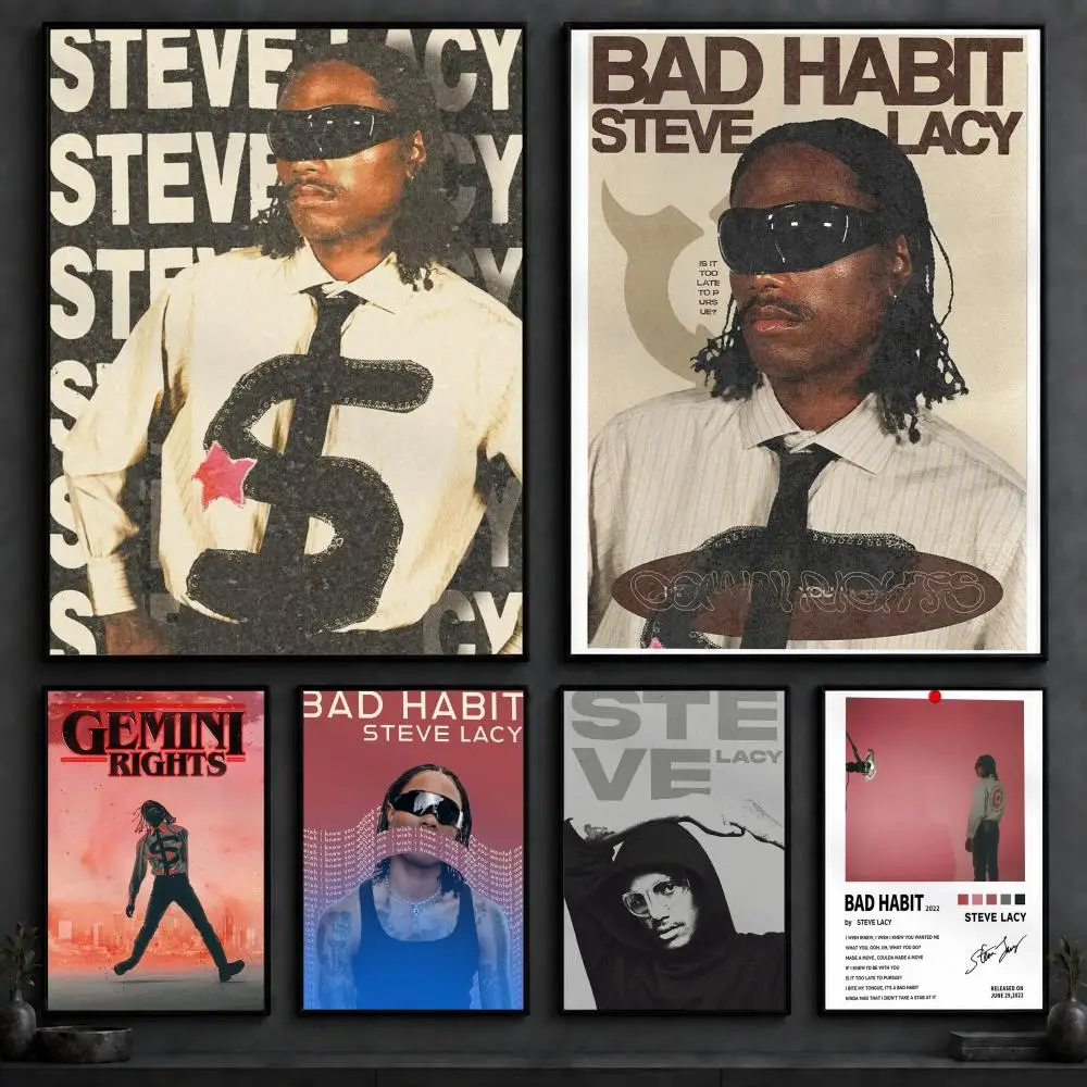 Singer S-Steve LacyS Poster Art  Self-Adhesive No Glue Residue Wall Decor for Bedroom Living Room