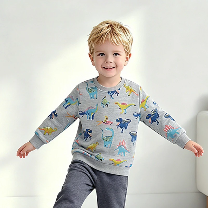 2-7T Boys 100% Cotton Hoodies Sweatshirts Pullover Tops Colorful Dinosaur All Over Print Long Sleeve Crew Neck Kids Sweatshirt