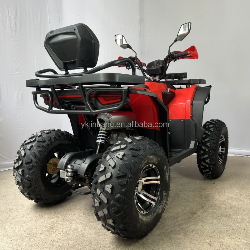 Quad Bike ATV for Adult with CE Approved 200cc ATV