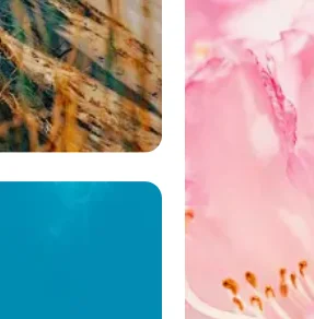 Android Multimedia … - image