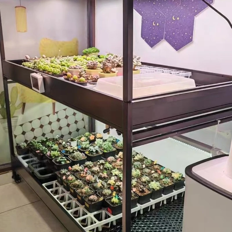 Succulent flower stand, sink water tray, root dip basin, multi-layer Phalaenopsis Dendrobium officinale display stand