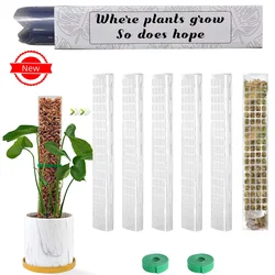 Plants Moss Pole Garden Subject Flower Plant Climbers Bonsai Accessories Pots Tutors ,for Planters Plants Growth Holder Support