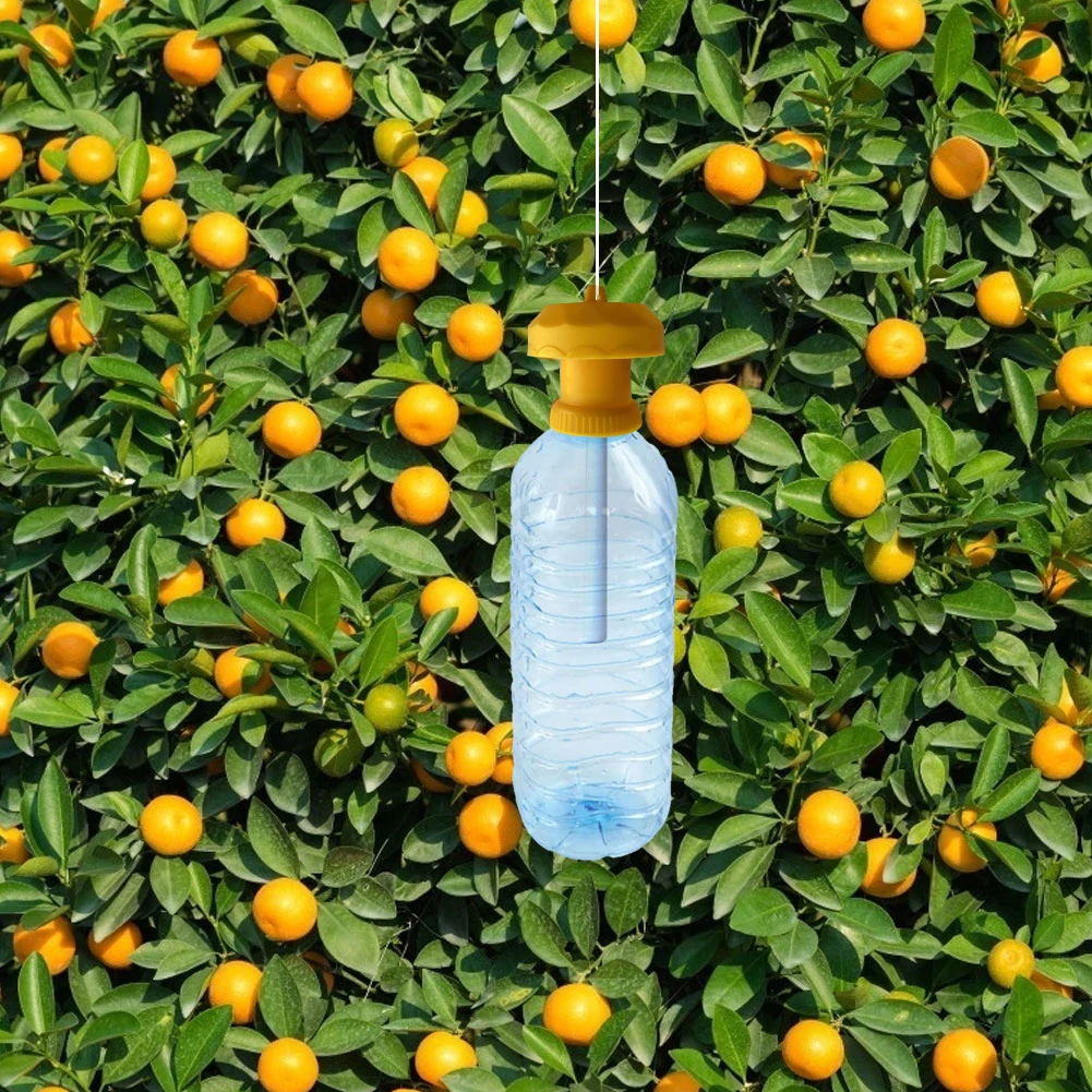 Control Drosophila Catcher Fruit Fly Trap Killer Cover Insect Beverage Bottle Vegetable Simple Farm Home Garden
