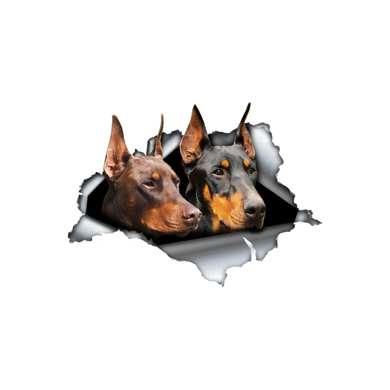 DK573# Car Stickers for Two Doberman Hidden in Holes, Waterproof Irregularly Shaped Car Decoration Decals