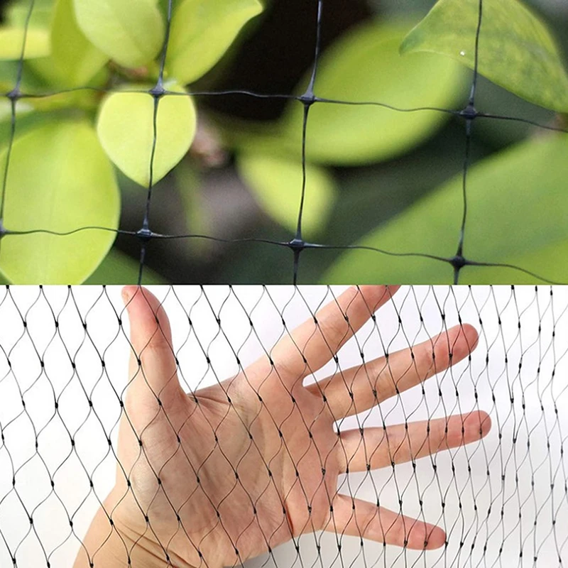 

Black Anti Bird Netting Poultry Net Aviary For Vegetables Plants And Fruit Trees