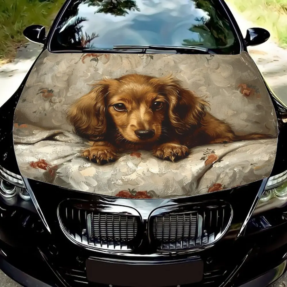 Adorable Dachshund Vehicle Decal - High-Gloss Finish, DIY Installation Kit Included