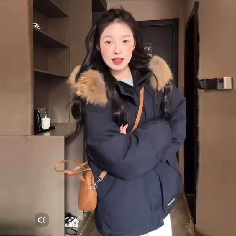 여성 겨울 후드 파카 솜 패딩 재킷 두꺼운 한국 스타일 레트로 스탠드 칼라 미니멀리스트 푸퍼 재킷 코트