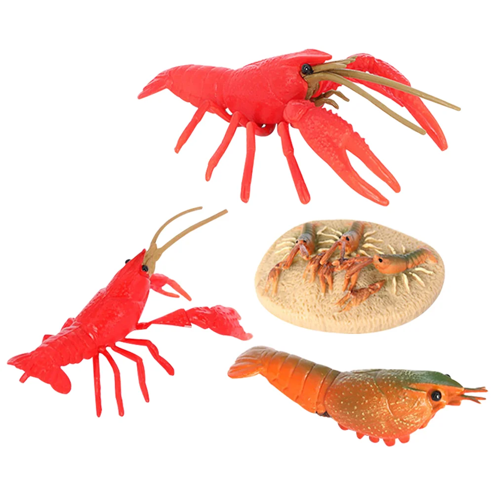 

of Crayfish Growing Cycle Toys Simulated Crayfish Models Educational Lobsterling Life Cycle Toys