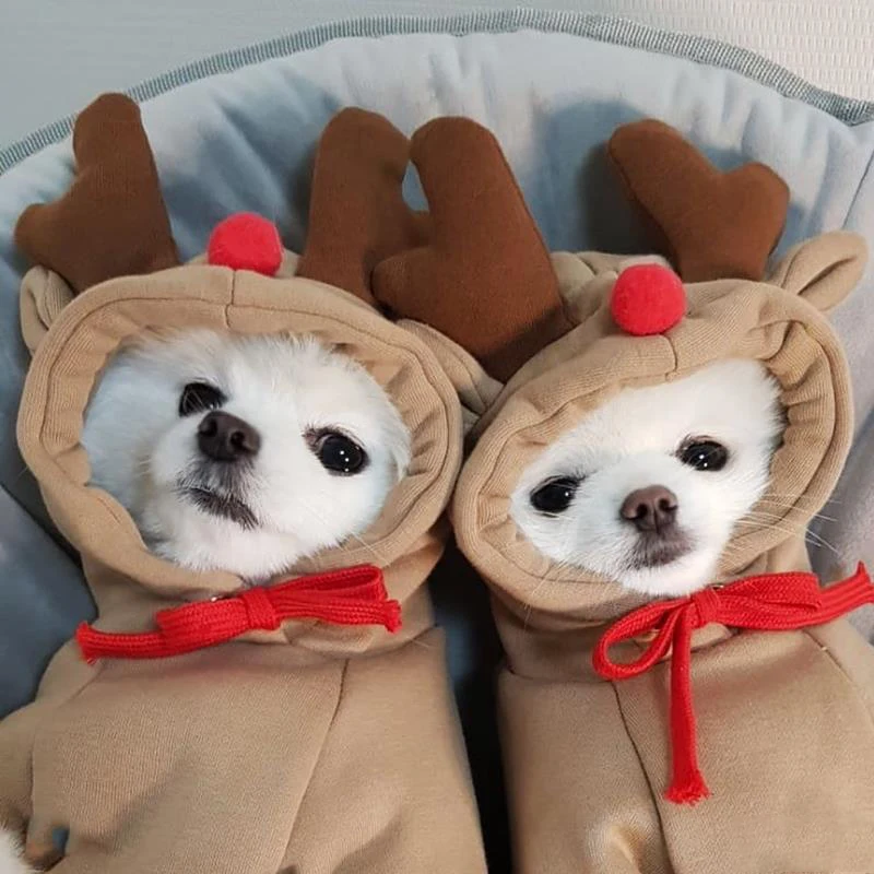 Cute Elk Dog Clothes Reindeer S/M/L Dogs Hoodies Warm Pet Clothing Puppy Cat Costume Coat Chihuahua Mouse Cheese Jacket Suit