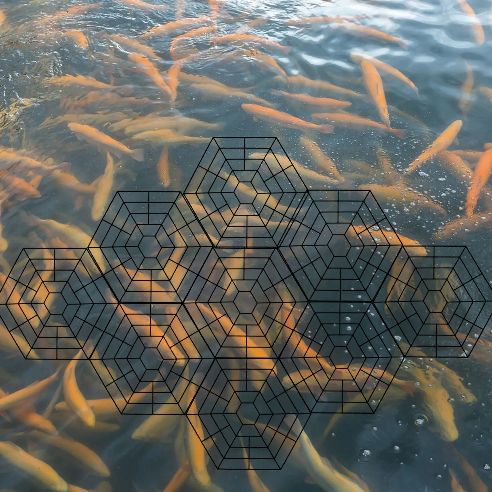 Fish Pond Protective Hexagonal Net 10 Pieces Heavy Duty Plastic Outdoor Water Garden Bird Deterrent Fish Guard