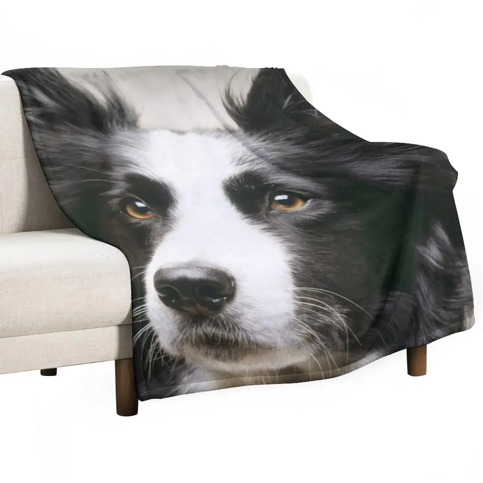 

Working Border Collie Throw Blanket warm winter blankets ands Blankets