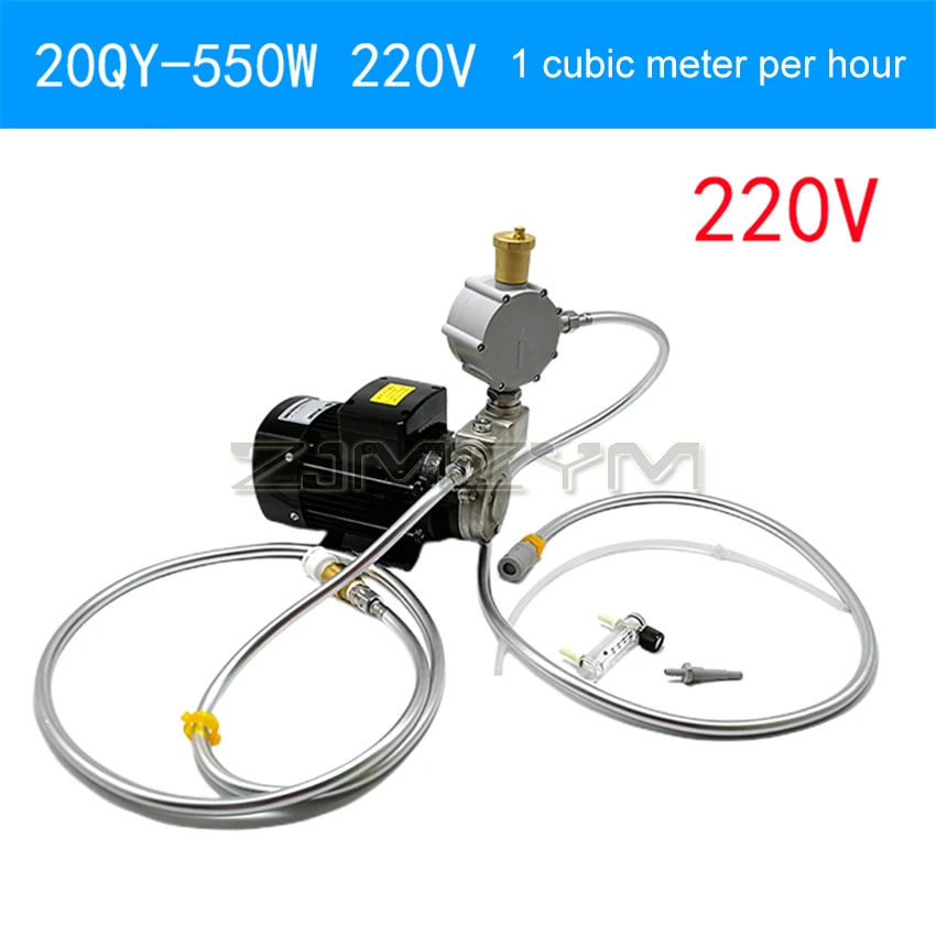 550w/750w 220V/380V Gas-liquid Mixing Pump Microbubble Generator Bubble Generator Ozone Water Treatment Machine 250/500L/H 1/2