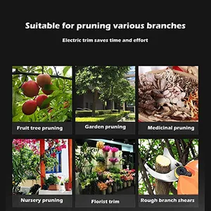 Wireless Pruner Electric with cutting blade, pruning blade, shear accessory, efficient Fruit Tree Bonsai Ramos, Garden Tool, 25mm, SK5 10 Main Sales Tissue Tissue Electric - №7