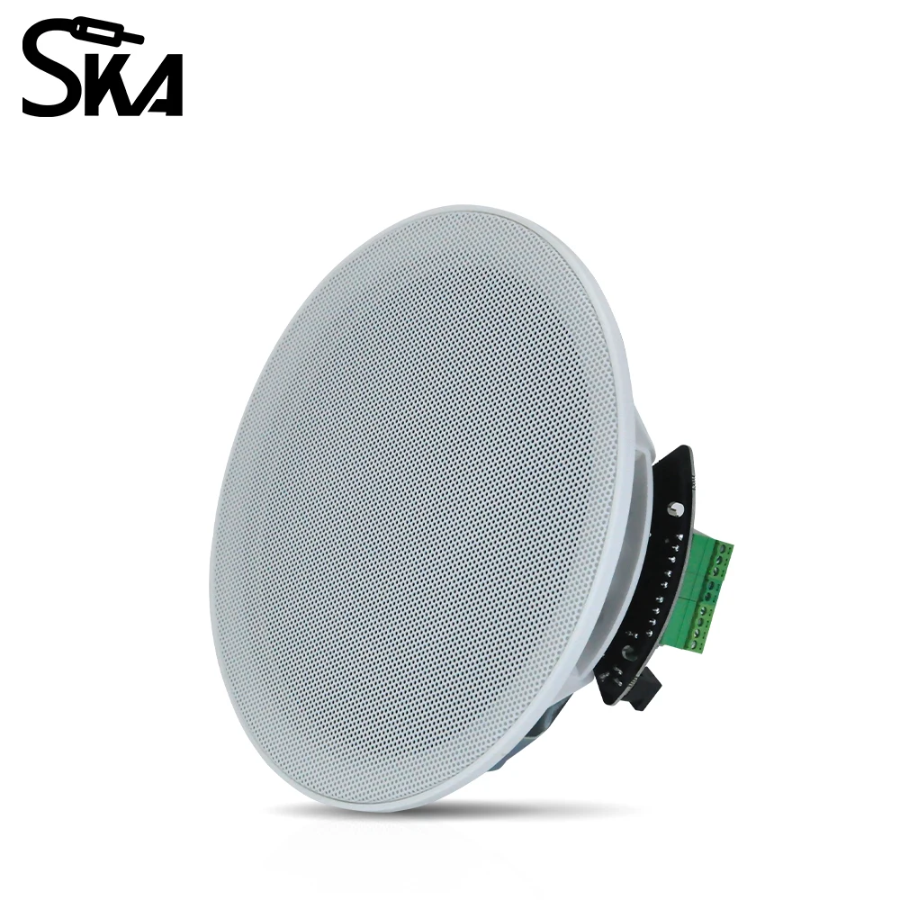

Активный 6,5-дюймовый потолочный динамик Bluetooth, цифровой усилитель класса D, Hi-Fi стереодинамик, домашний кинотеатр, музыка для отеля