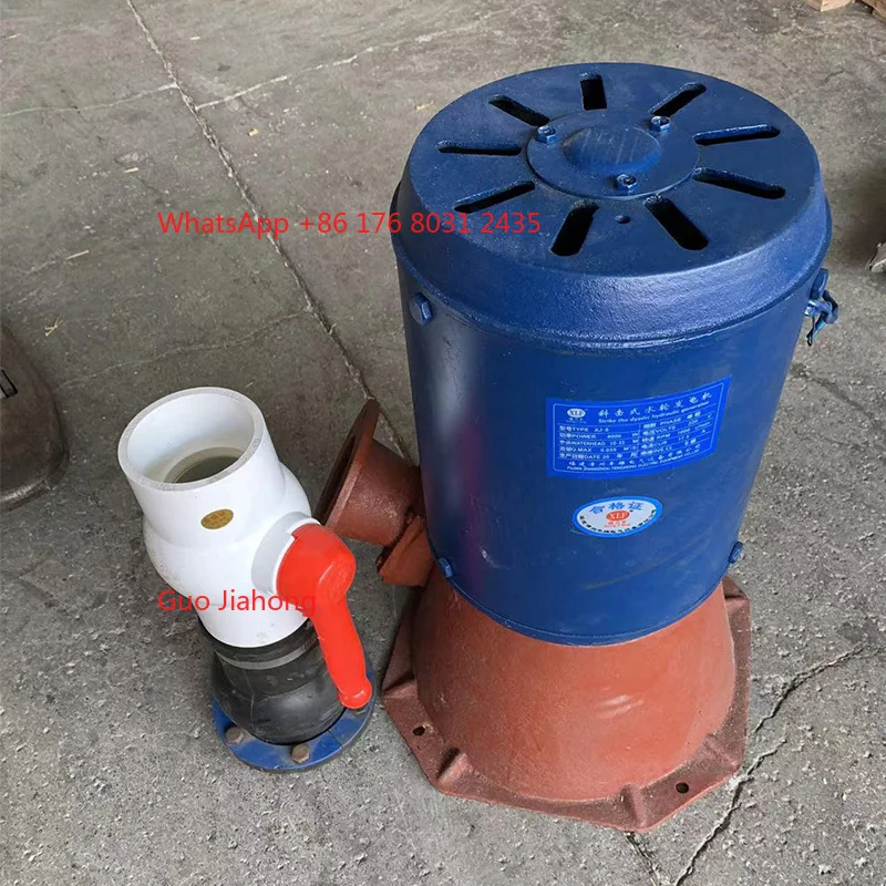 

High Efficient Small Hydroelectric Generator Water Turbine Generator 1000W