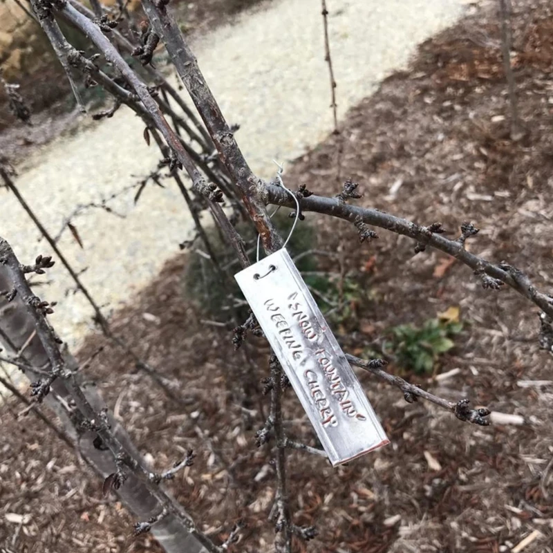 50 etichette per piante in metallo, etichette per alberi, etichette per stampaggio solido per marcare piante alberi