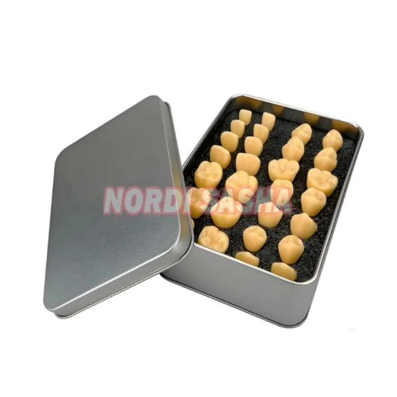 28Pcs/Box Denal 2 Times Carved Model Teeth Teaching Model 1.2 Times Comparison Carving Tooth Model Dental Student Practice Study