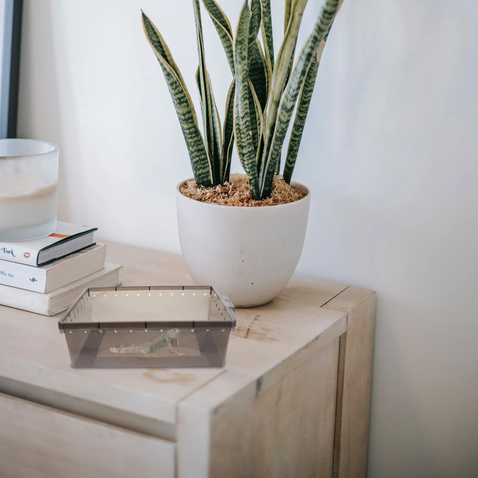 

Plastic Reptiles Feeding Box 30X20X15Cm Transparent Breathable Spider Hatching Container For Lizard Frog Snake Pet