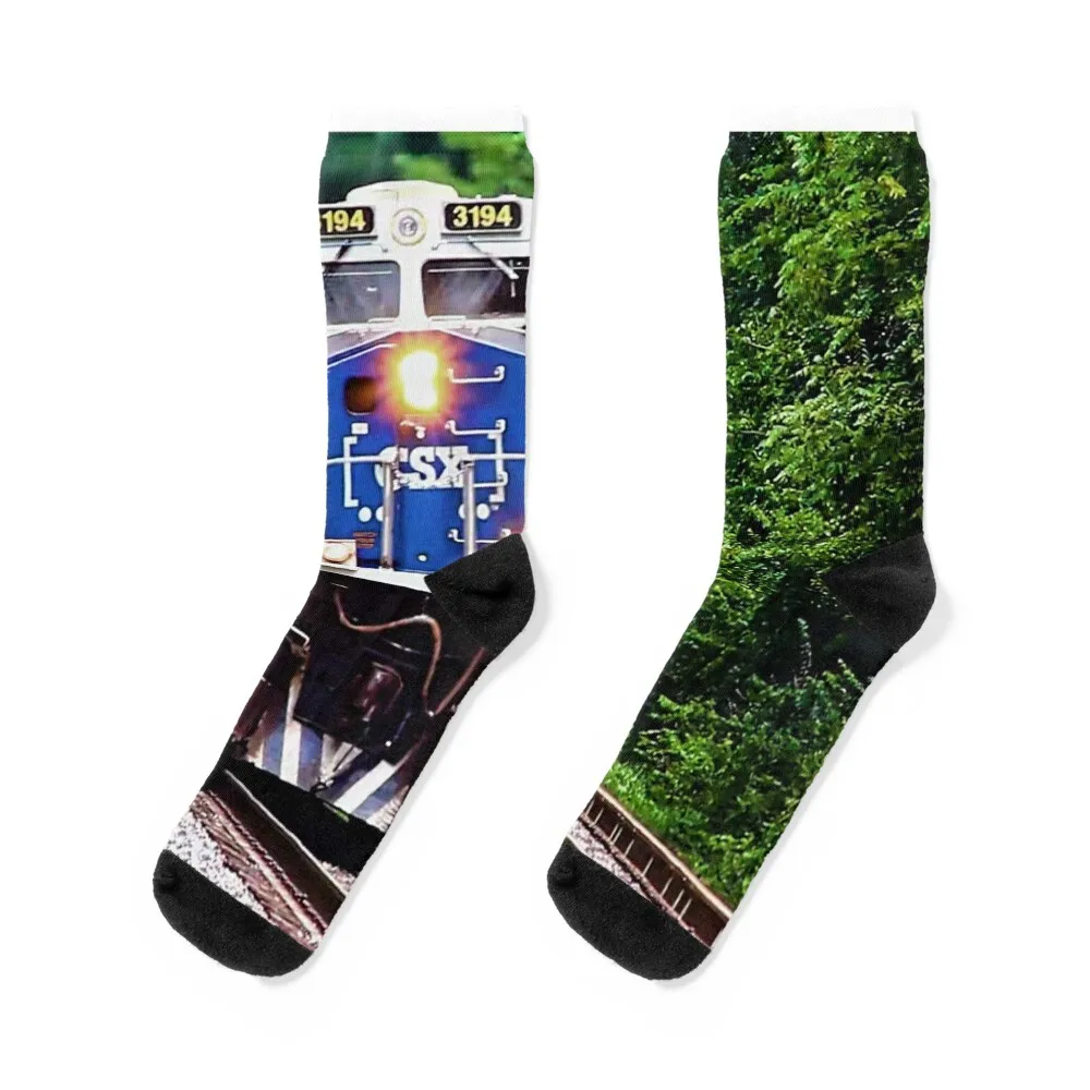 the Majestic CSX #3194 Honoring Law Enforcement Locomotive Socks halloween new in's gift cartoon Woman Socks Men's