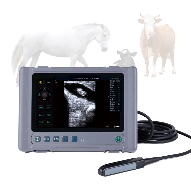 Portable Veterinary Ultrasound Machine Veterinary Ultrasound Scanner Dog Cat Cow Pig Diagnosis Detection