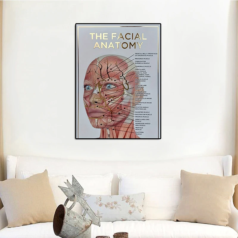 Facial Muscle Anatomy Poster Home Decor Wall Art Canvas Painting For Living Room Office Hotel Decoration Artwork Unframed