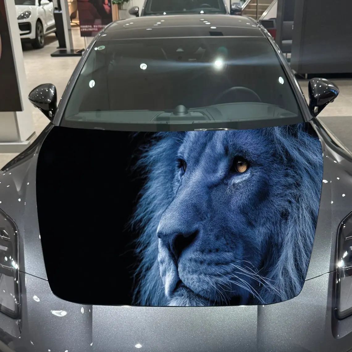 

Aqua Lion Visual Wonder Journey PVC Car Hood Wraps, Self-Adhesive Waterproof Car Bonnet Decal Sticker, Car Decoration Protection