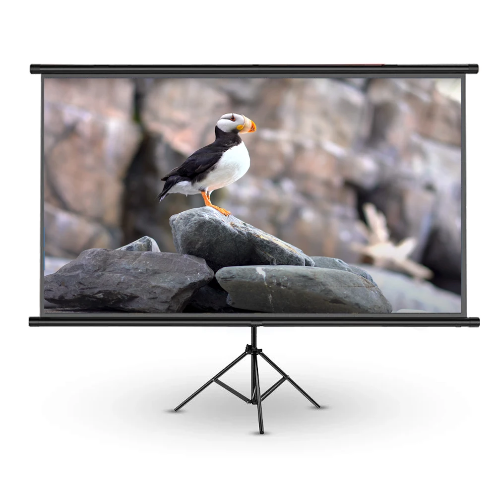 

Touyinger Portable Edging 16:9 Projector Screen 72 84 100 Inches White Projection Screen TV Home Projector Screen