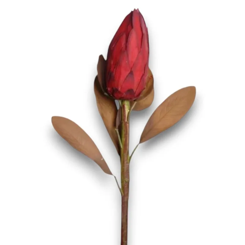 

Lotus Protea 86 cm Bordeaux Fresh Cut Flowers