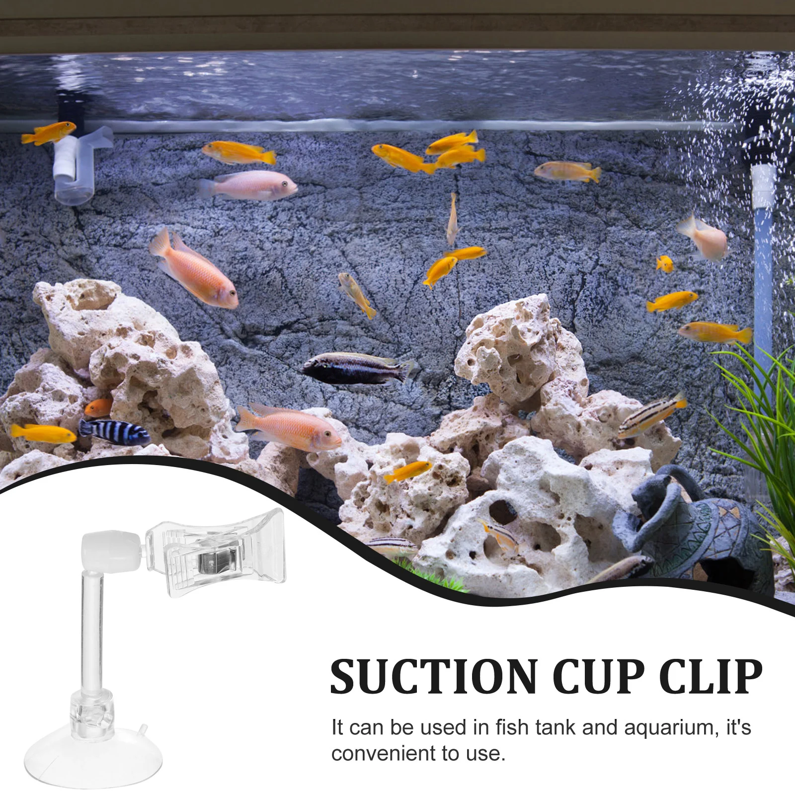 6pcs Aquarium Suction Cups Clips Fish Tank Accessories Veggie Clips Fish Tank Feeding Clip Fish Feeding Tools