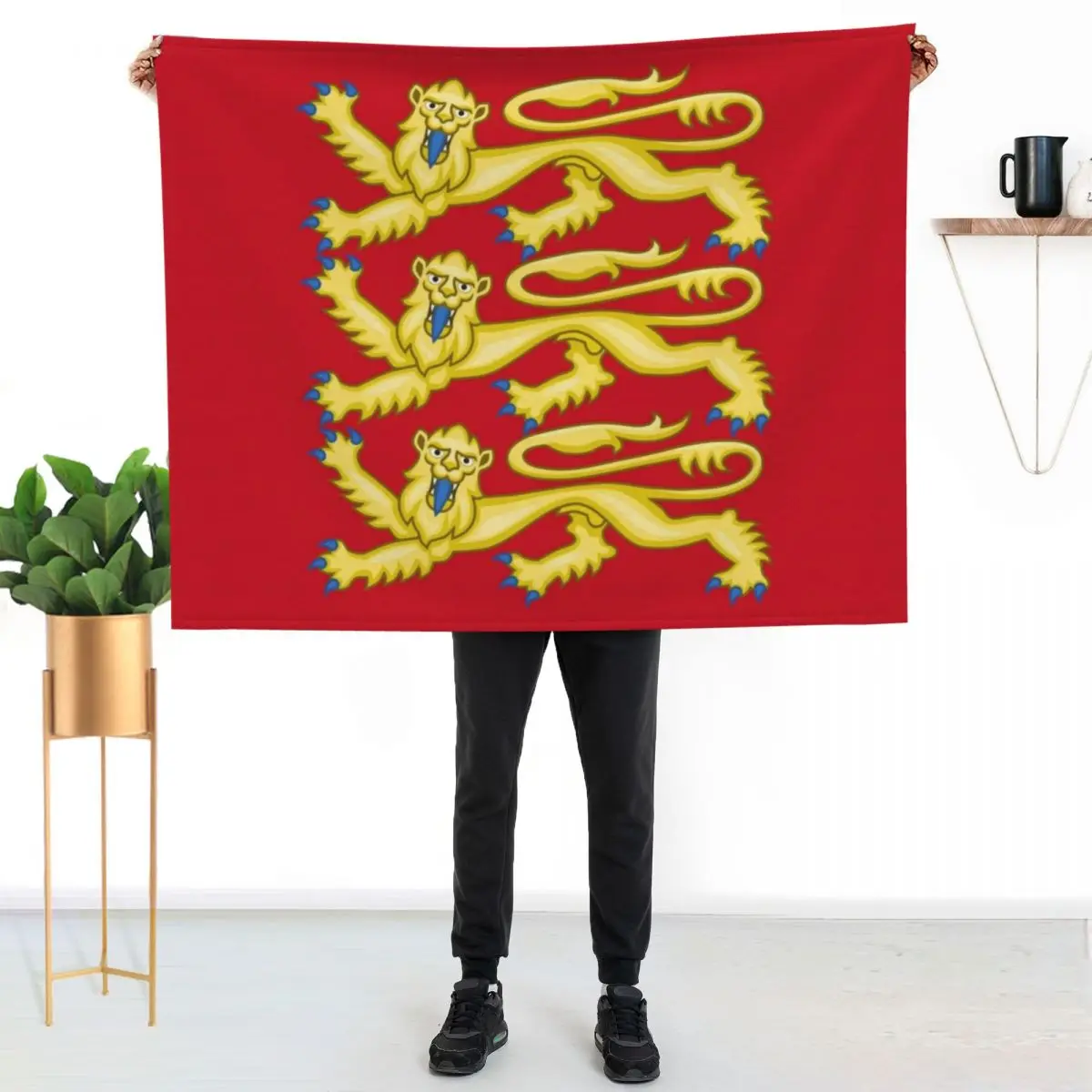 Plantagenet Arms of England Throw Blanket Custom Sleeping Bag Shaggy Thermal Sofa Throw decorative Blankets