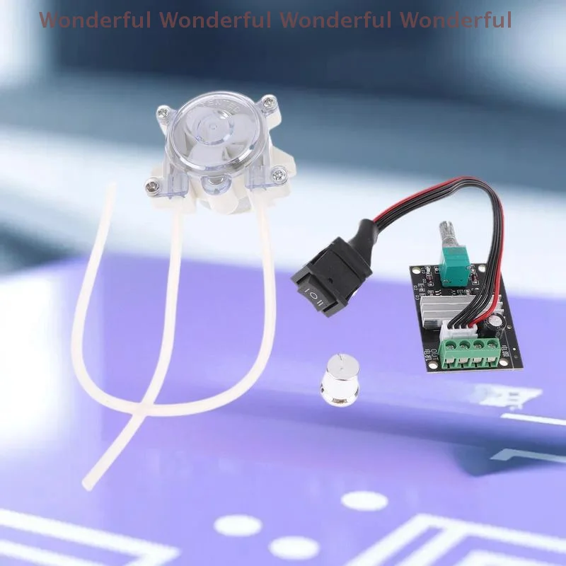 Micro pompa peristaltica per campionamento inchiostro da laboratorio avanzato con mini motoriduttore 500, CC 6 V-12 V e flusso inverso