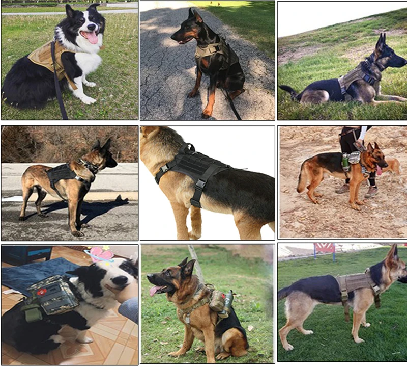 Taktische Militärweste für Haustiere, Outdoor-Trainingsweste, Hundegeschirr und Leine, Set mit Halsband für mittelgroße und große Hunde, Deutscher Schäferhund – Detail 37