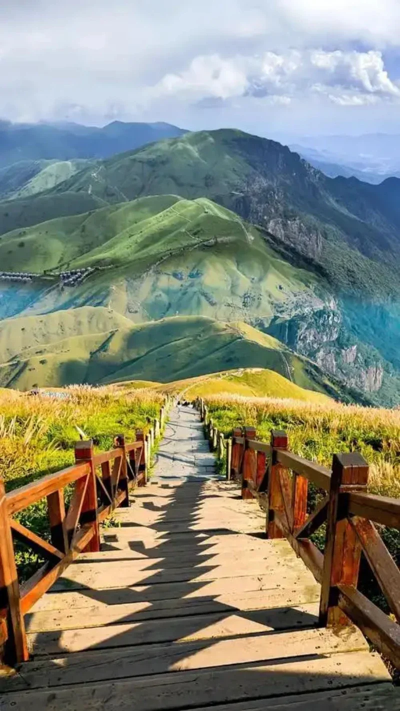 

2 шт. карбоновые накладки на подрулевые лепестки переключения передач из ABS для MG Pilot New Energy 2021, GT 2014-2016, GS 2017-2019