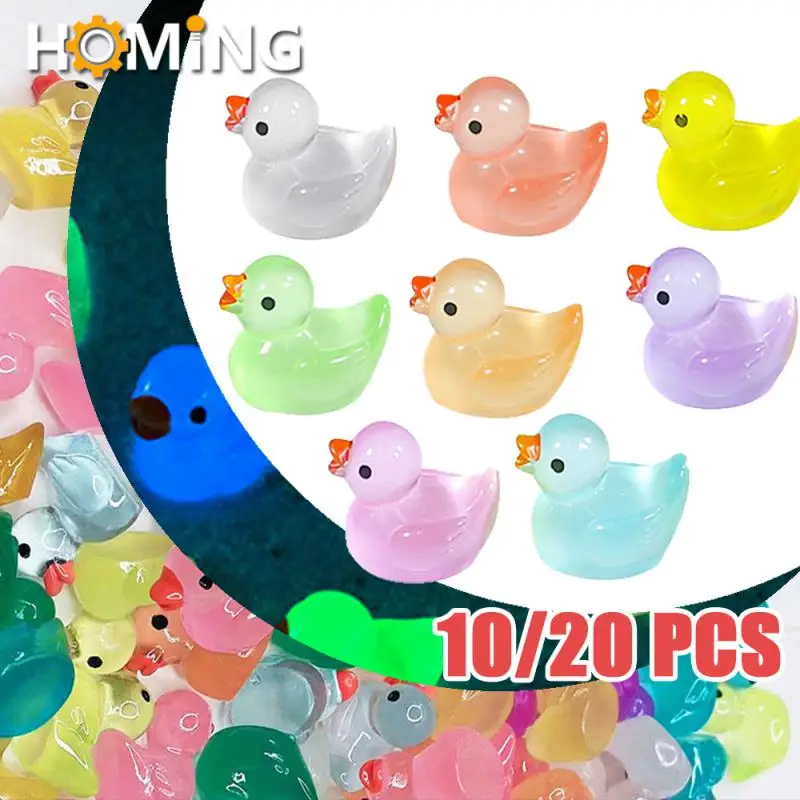 Mini patos luminosos em miniatura, pato fluorescente, musgo, micro paisagem, resina decoração de bonecas, brilho no escuro, 20 pcs, 10pcs