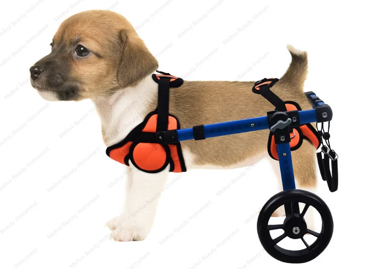 Pet Dog Scooter Auxiliary Device Standing Bracket Action Elderly Dog Rehabilitation Foldable Cute Pet Auxiliary Cart